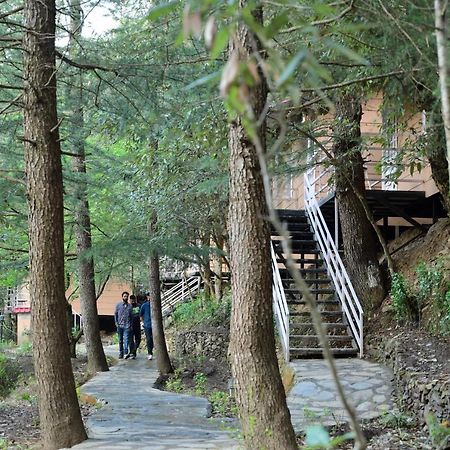 Aamod At Shoghi Luxury Cottage Resort Shimla Exteriör bild