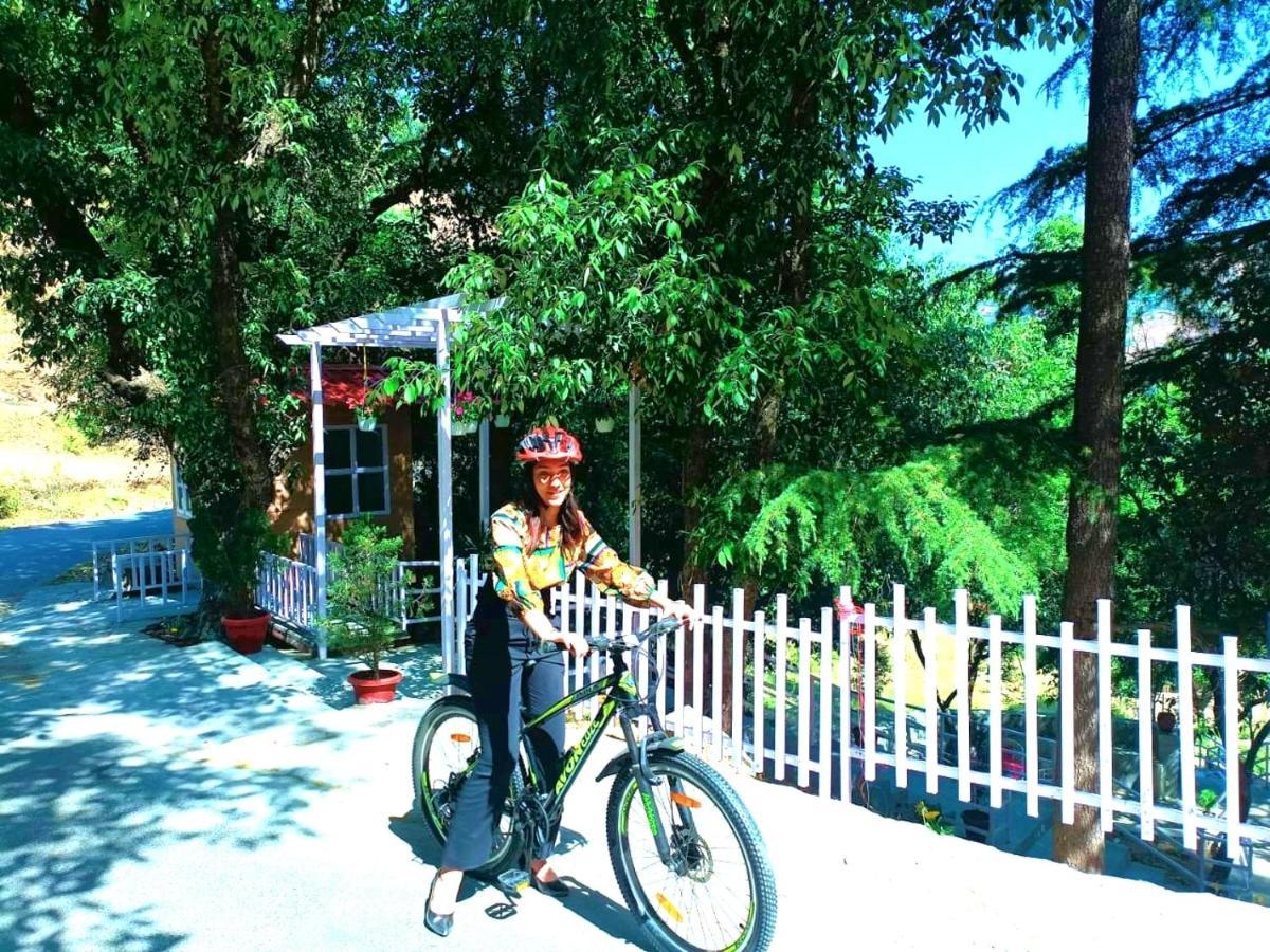 Aamod At Shoghi Luxury Cottage Resort Shimla Exteriör bild