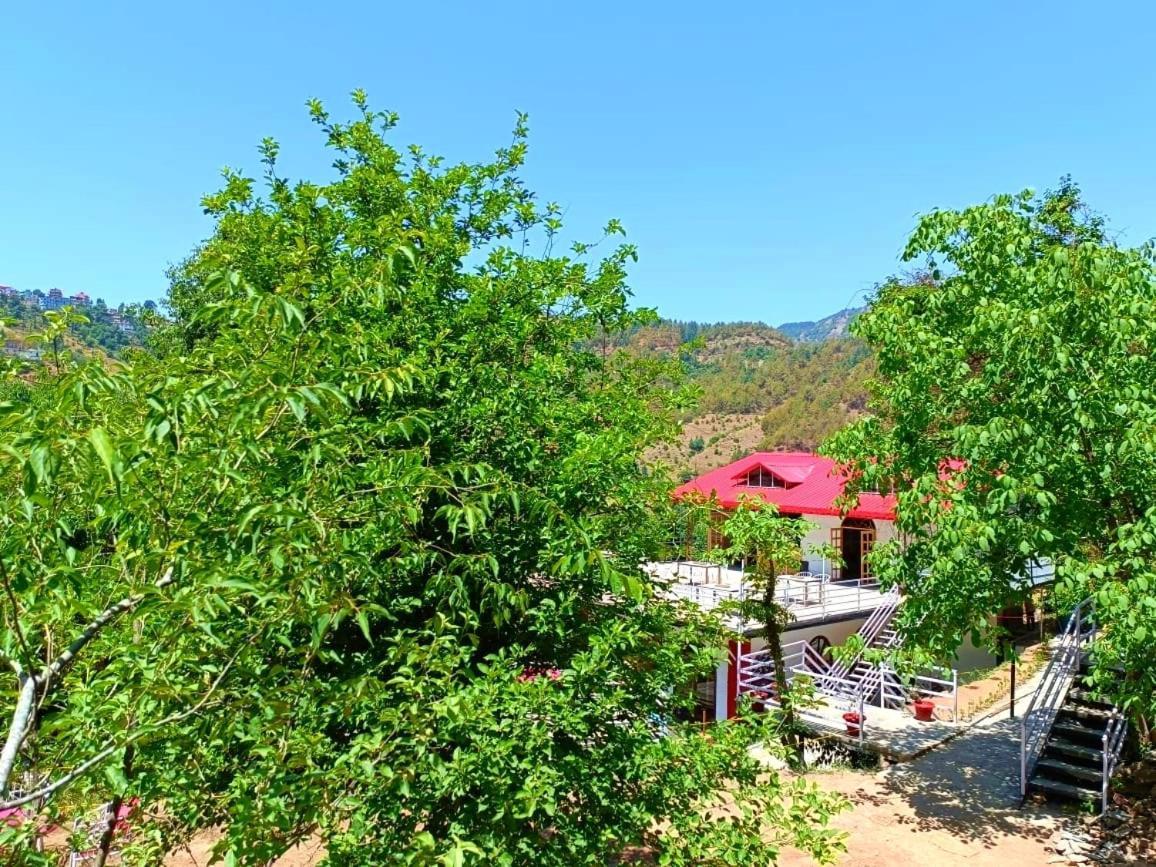 Aamod At Shoghi Luxury Cottage Resort Shimla Exteriör bild