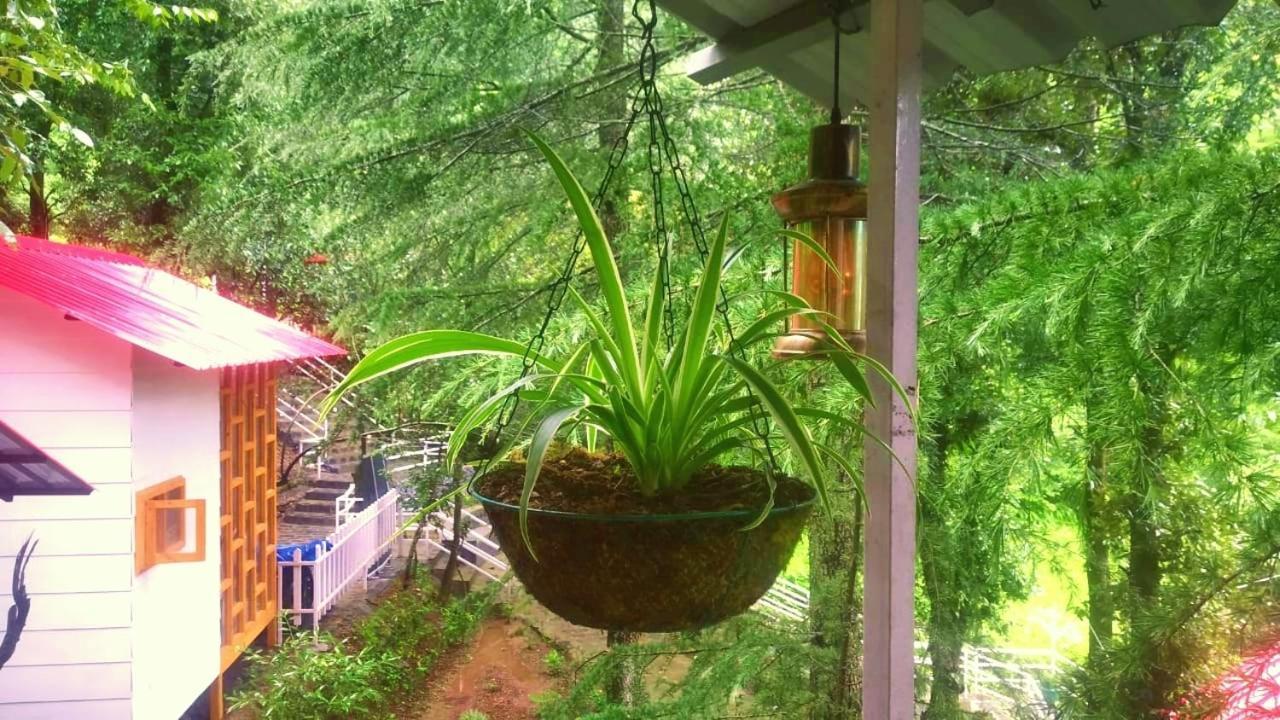 Aamod At Shoghi Luxury Cottage Resort Shimla Exteriör bild