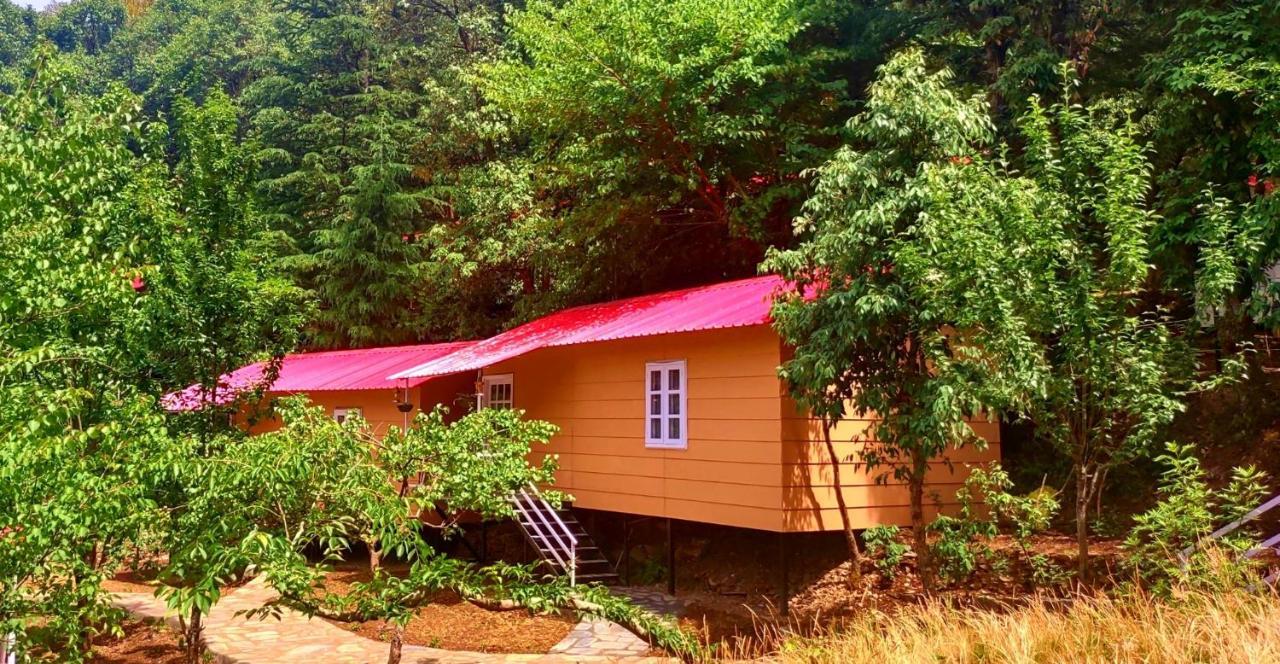 Aamod At Shoghi Luxury Cottage Resort Shimla Exteriör bild