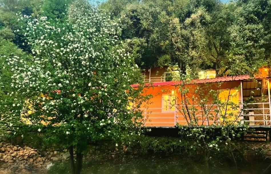 Aamod At Shoghi Luxury Cottage Resort Shimla Exteriör bild