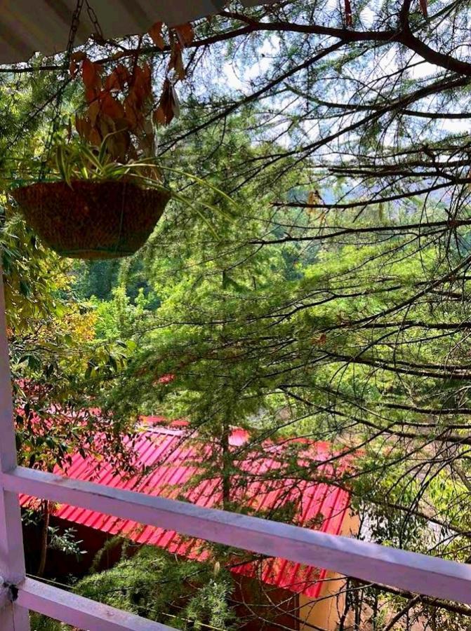 Aamod At Shoghi Luxury Cottage Resort Shimla Exteriör bild