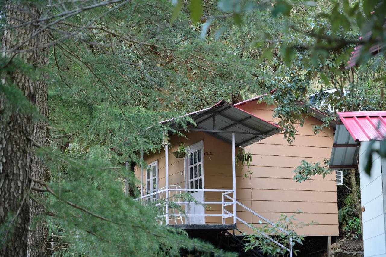 Aamod At Shoghi Luxury Cottage Resort Shimla Exteriör bild